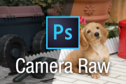 【Photoshop写真加工】Camera Raw機能でノイズを抑えて、カンタン色調補正！
