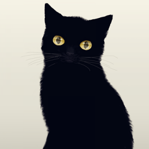 黒猫の瞳