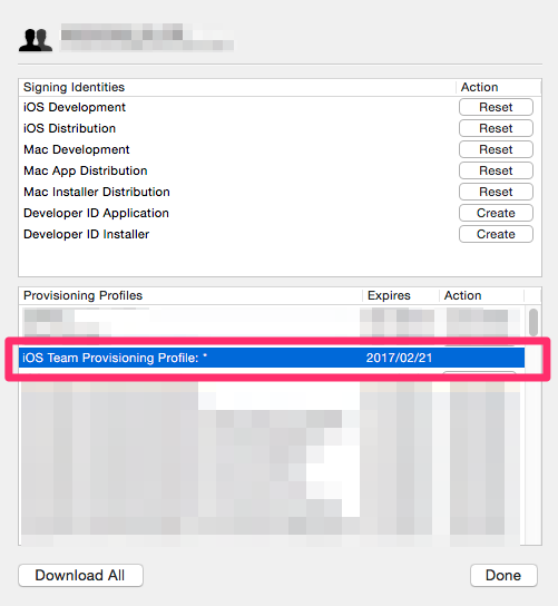 iOS Team Provisioning Profile